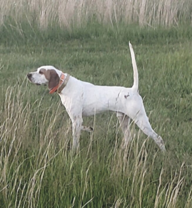Photo1